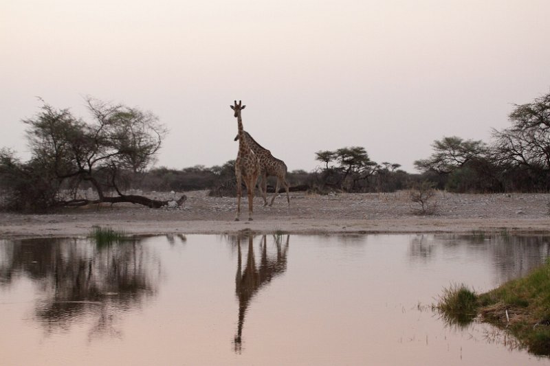 c_2015_08_28 16_39_28_563